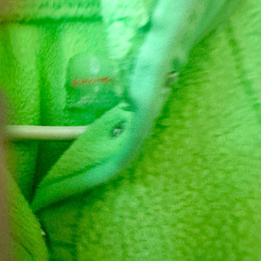 FP Movement Hit the Slopes Neon Green Women's Jacket - Picture 4 of 4